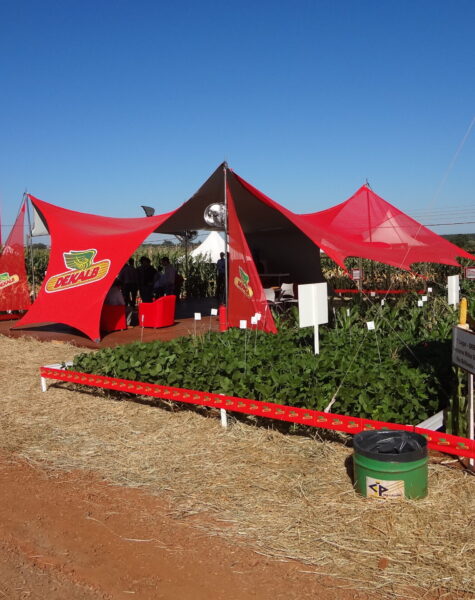 Projeto especial - Big fast Dekalb